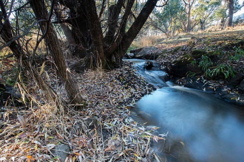 Pound Creek Gallery - Accommodation NT 26