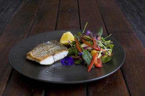 Sage Hotel Wollongong - NT Tourism 22