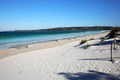 Jervis Bay Beach Shack I Pet Friendly - Accommodation NT 17