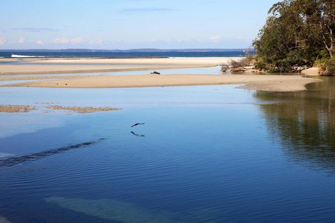 Jervis Bay Beach Shack I Pet Friendly - Accommodation NT 19