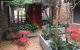 Mariners Court Hotel Sydney - thumb 5