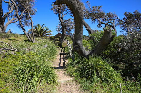 Abode @ Culburra - Pet Friendly - 4 Mins To Beach - Accommodation NT 25