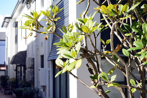 Avoca Randwick By Sydney Lodges - Accommodation NT 34