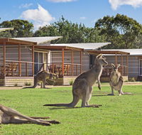Discovery Parks  Pambula Beach - Accommodation NT