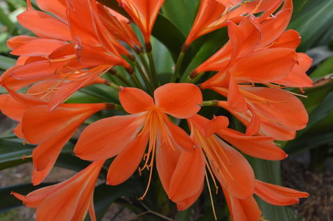JE Guesthouse, Central To All The Hunter Valley Has To Offer - Accommodation NT 39