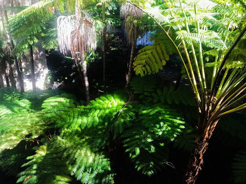 Woollahra Gem, Spectacular Views And Garden Paradise - Accommodation NT 34