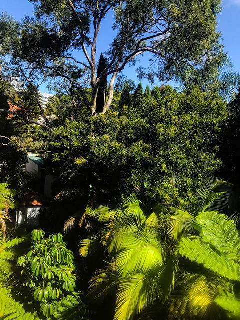 Woollahra Gem, Spectacular Views And Garden Paradise - Accommodation NT 31