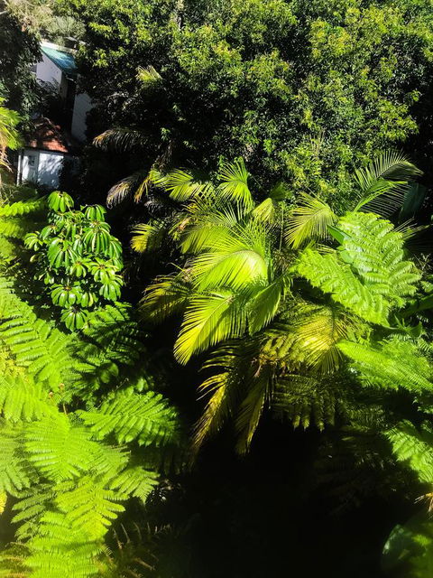 Woollahra Gem, Spectacular Views And Garden Paradise - Accommodation NT 29