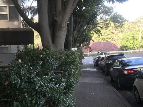 Woollahra Gem, Spectacular Views And Garden Paradise - Accommodation NT 1