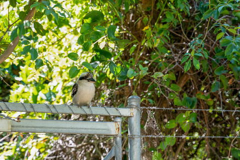 Wollongbar Motel - Accommodation NT 8