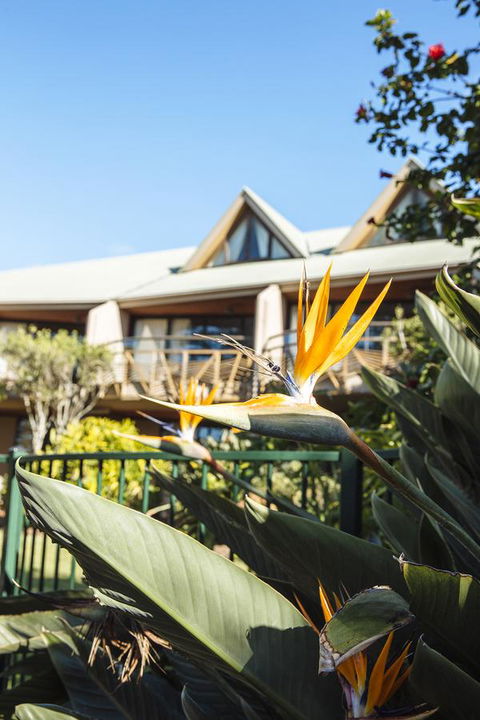 Beach Hotel Resort - Accommodation NT 36