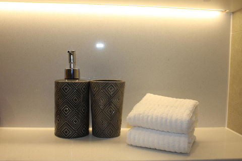 Stunning Views Sydney Olympic Park - Accommodation NT 24