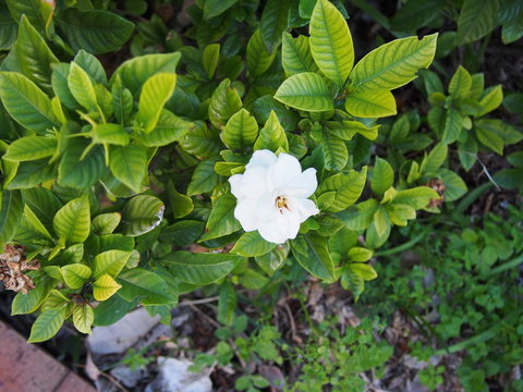 Bellevue Accommodation - Accommodation NT 21