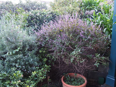 Bellevue Accommodation - Accommodation NT 24