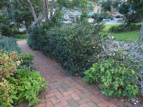 Bellevue Accommodation - Accommodation NT 22