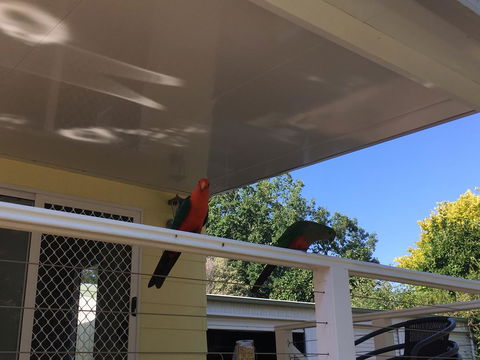 The Best Exotic Magnolia Cottage - Accommodation NT 11