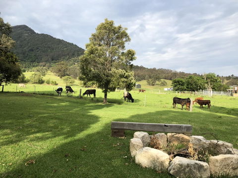 Arcadia - The Barn Cottage & Rosehill Cottage - Accommodation NT 29