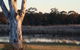 Adina Vineyard - thumb 10