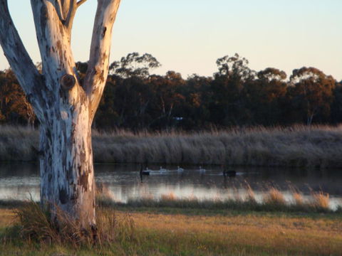 Adina Vineyard - NT Tourism 10