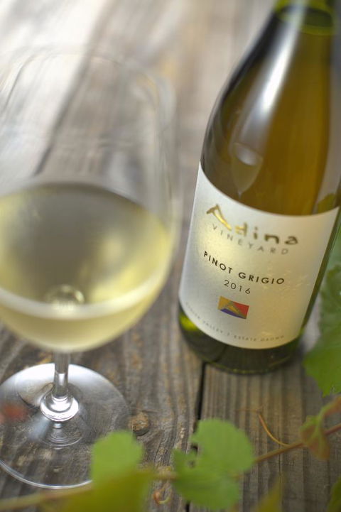 Adina Vineyard - NT Tourism 7