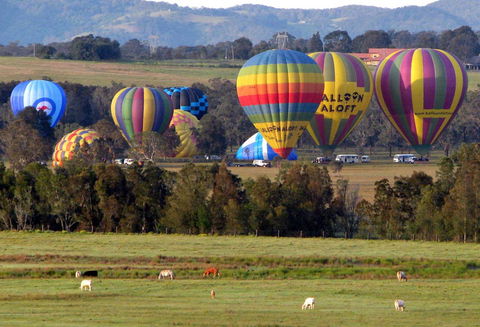 Adina Vineyard - NT Tourism 9
