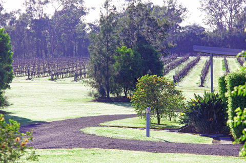 Adina Vineyard - NT Tourism 14