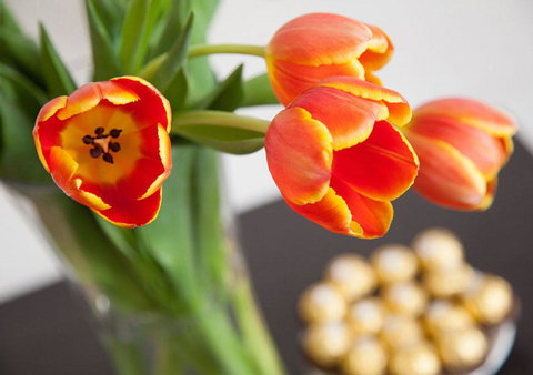 Wine Country Motor Inn - Accommodation NT 10