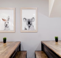 Mad Monkey Backpackers on Broadway - Accommodation NT