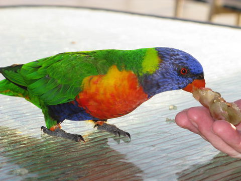 Baywatch Apartments Merimbula - Accommodation NT 22