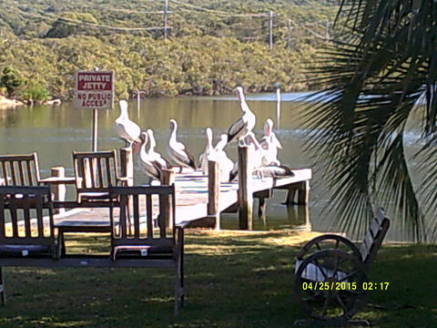 Pelican H2O One & Two Bedroom Apartments - Accommodation NT 9