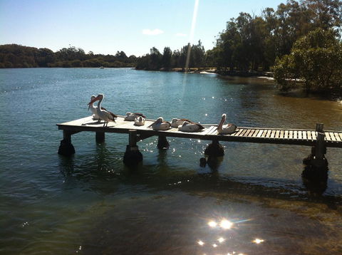 Pelican H2O One & Two Bedroom Apartments - Accommodation NT 5