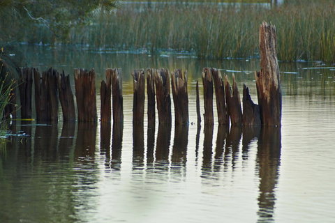 Estoy Cabarita - Accommodation NT 7