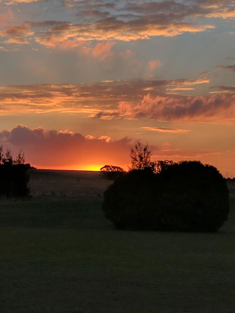 Madigan Wine Country Cottages - NT Tourism 13