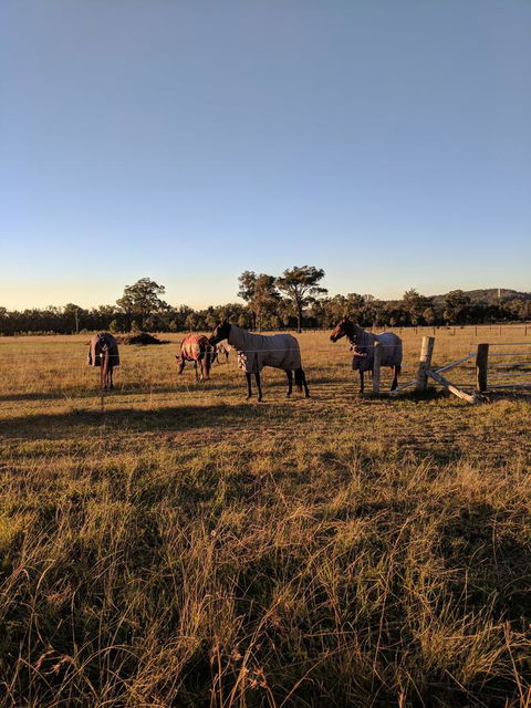 Madigan Wine Country Cottages - NT Tourism 8