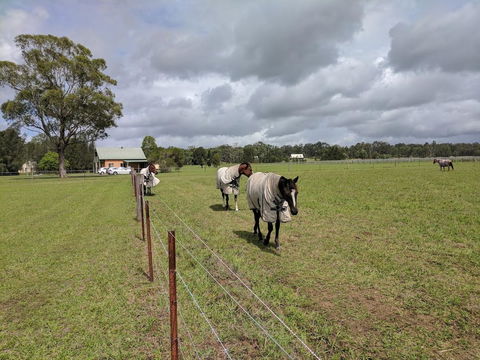 Madigan Wine Country Cottages - NT Tourism 9