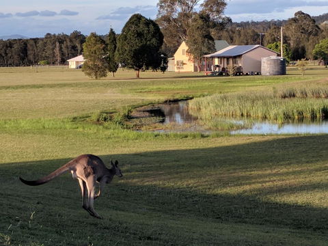 Madigan Wine Country Cottages - NT Tourism 6