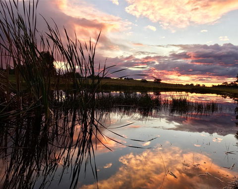 Madigan Wine Country Cottages - NT Tourism 16