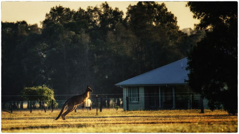 Madigan Wine Country Cottages - NT Tourism 5