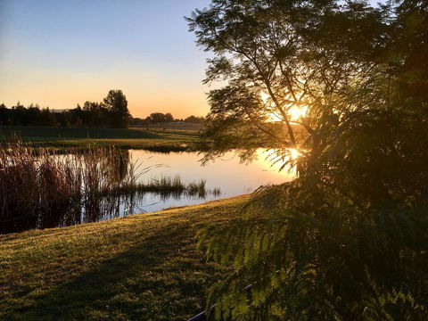 Madigan Wine Country Cottages - NT Tourism 17