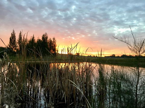 Madigan Wine Country Cottages - NT Tourism 14