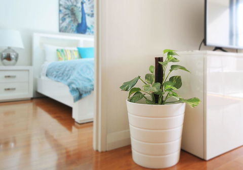 Sydney Apartment Close To Airport & CBD - NT Tourism 7