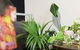 Sydney Apartment Close To Airport & CBD - thumb 13