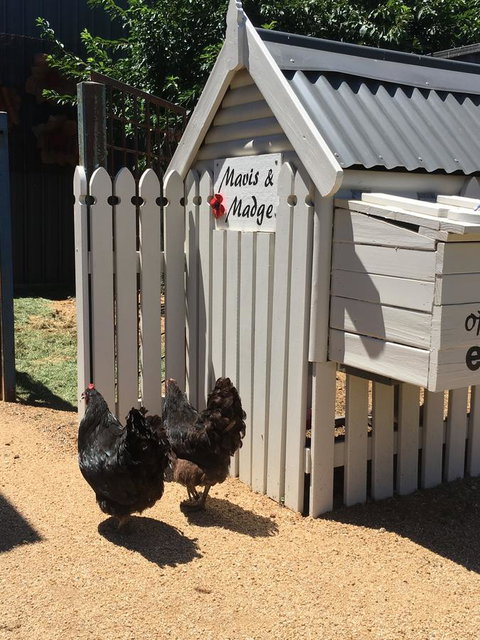 Thelma's Temora - Accommodation NT 12