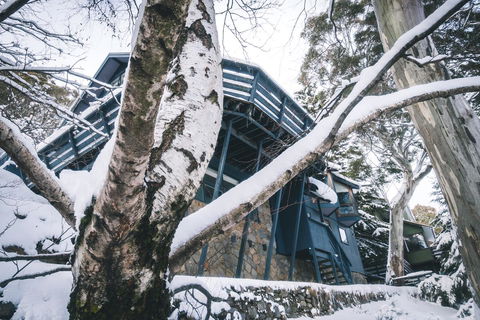Pure Chalet Thredbo - Accommodation NT 21