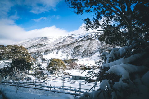 Pure Chalet Thredbo - Accommodation NT 31