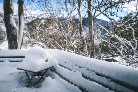 Pure Chalet Thredbo - Accommodation NT 19