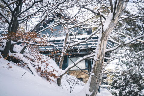 Pure Chalet Thredbo - Accommodation NT 27