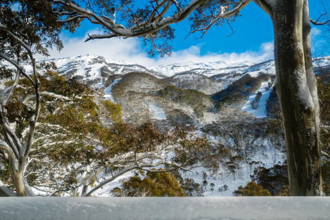 Pure Chalet Thredbo - Accommodation NT 17