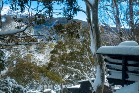 Pure Chalet Thredbo - Accommodation NT 30