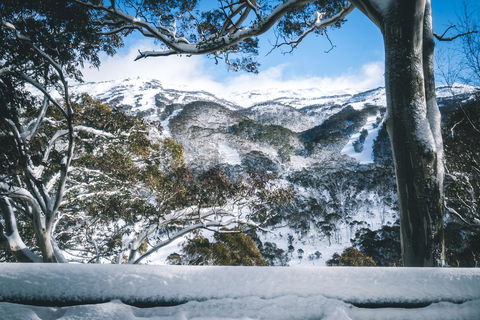 Pure Chalet Thredbo - Accommodation NT 2